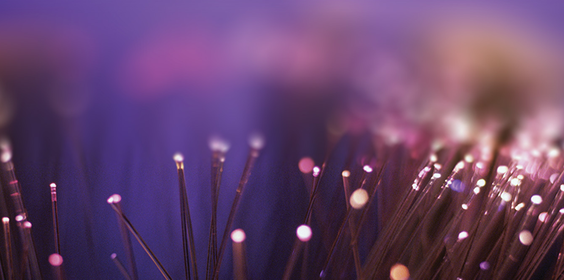 ПРОГРАММА LEXUS СТРАХОВАНИЕ